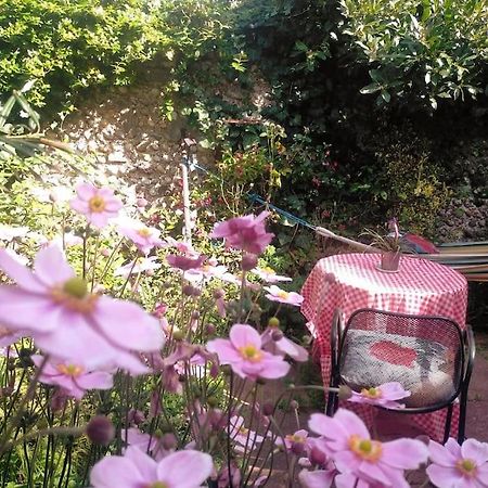 Cosy 1 Bedroom With Garden 2 Min From Seafront Brighton Luaran gambar