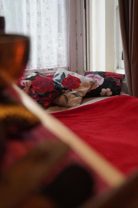 Cosy 1 Bedroom With Garden 2 Min From Seafront Brighton Luaran gambar
