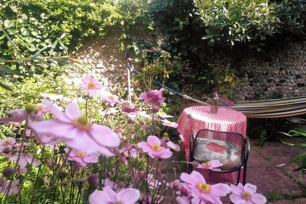 Cosy 1 Bedroom With Garden 2 Min From Seafront Brighton Luaran gambar